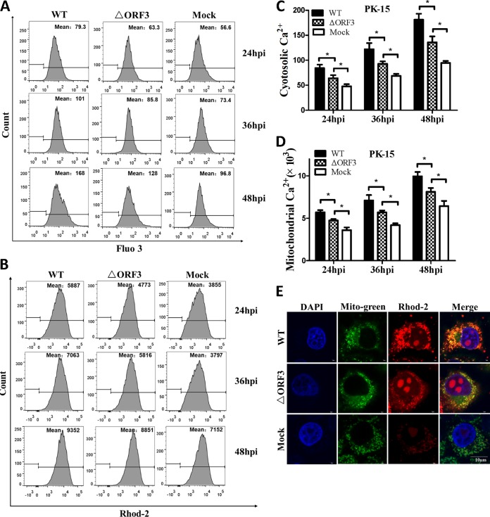 FIG 3