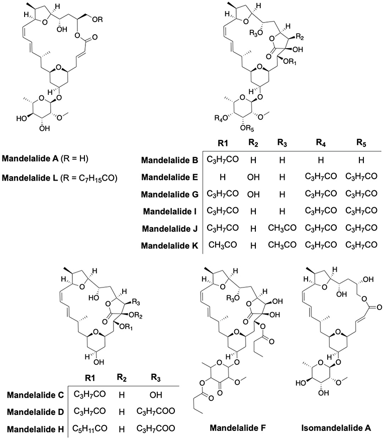 Fig. 5: