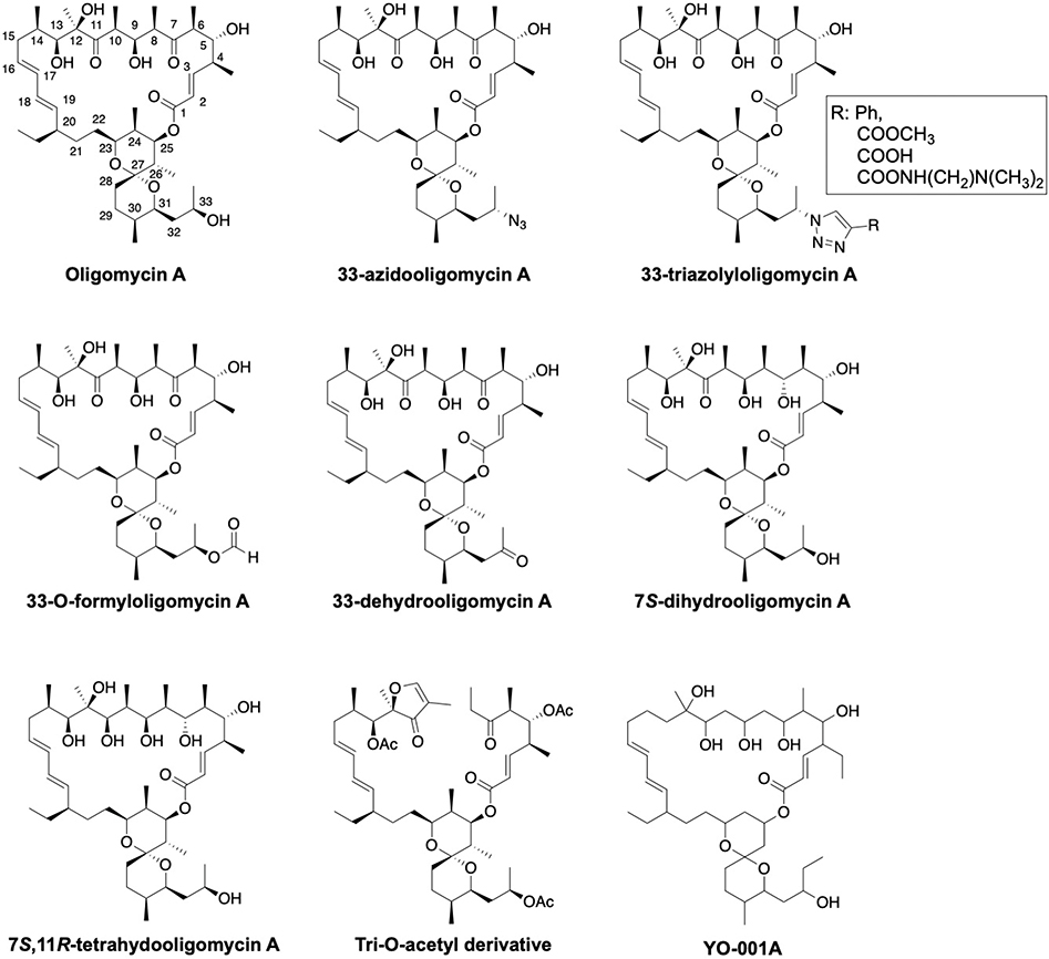 Fig. 3: