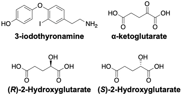 Fig. 9: