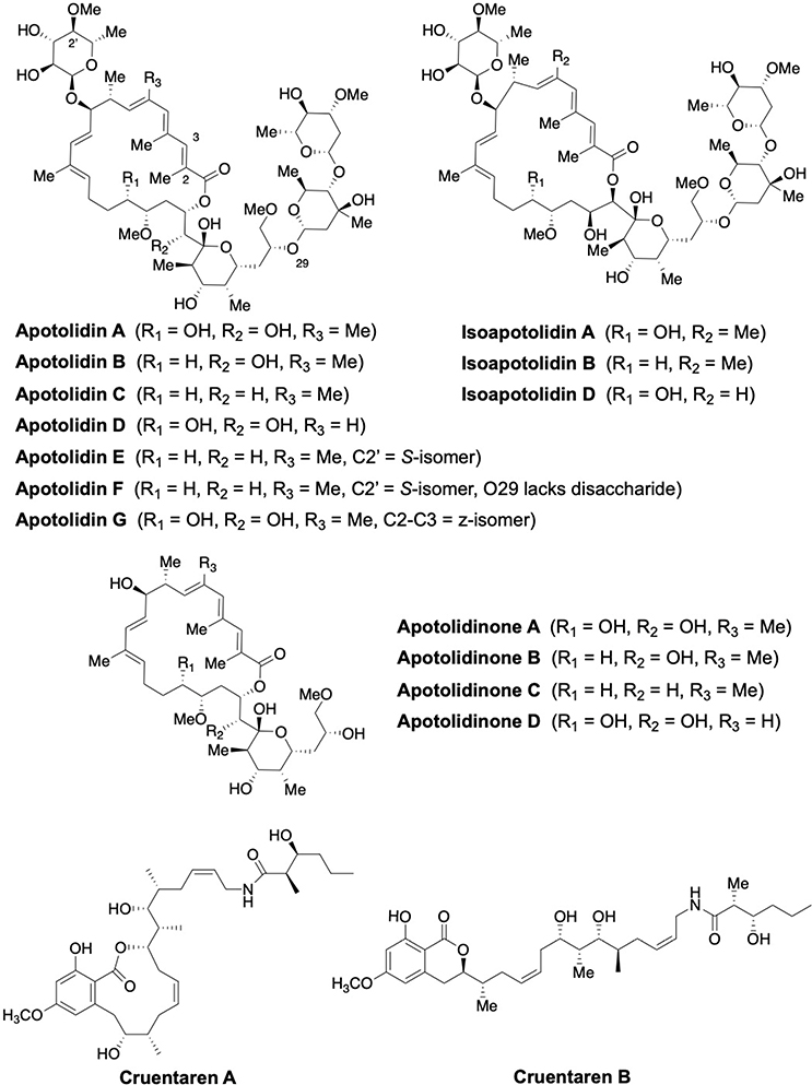 Fig. 6: