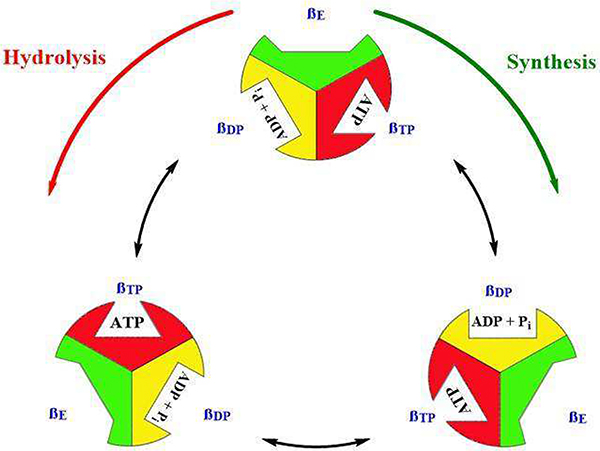 Fig. 2.