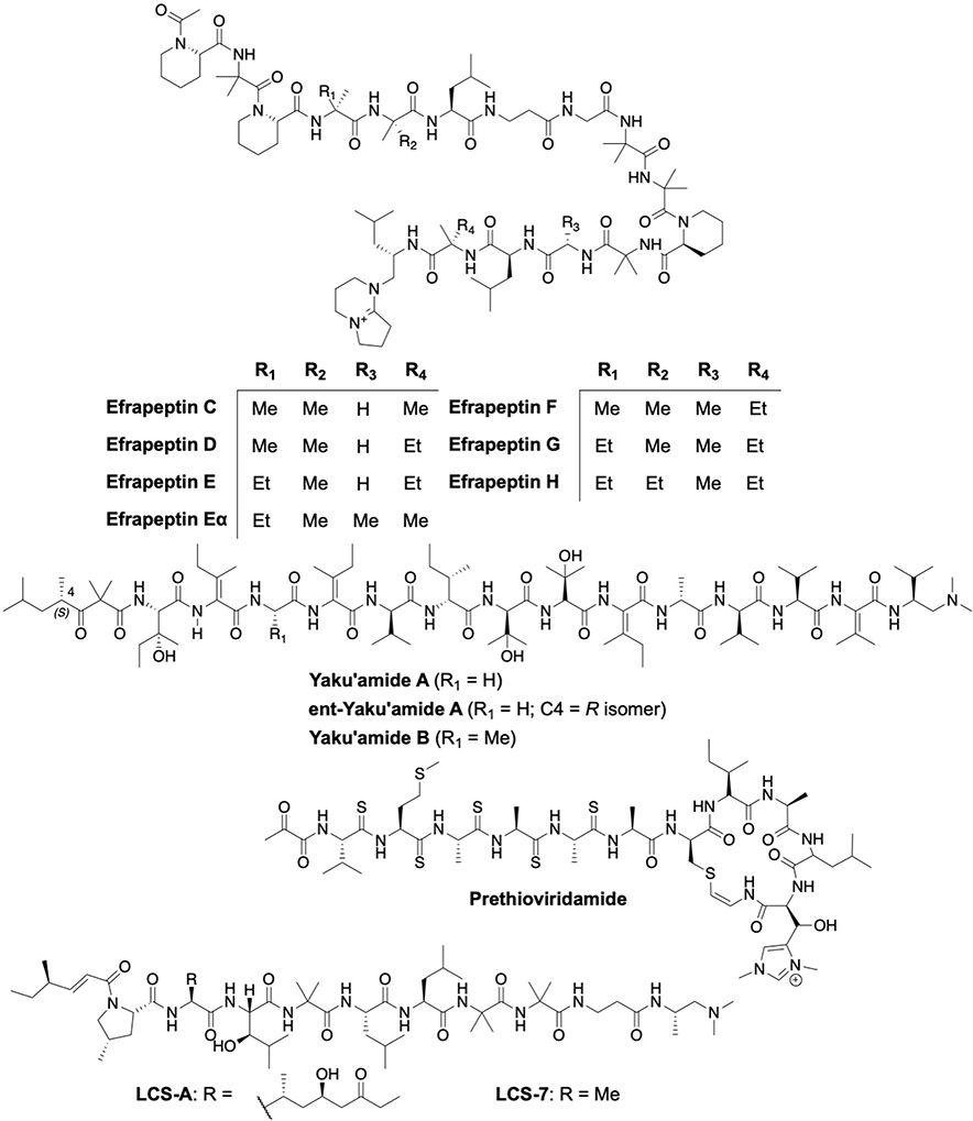 Fig. 8: