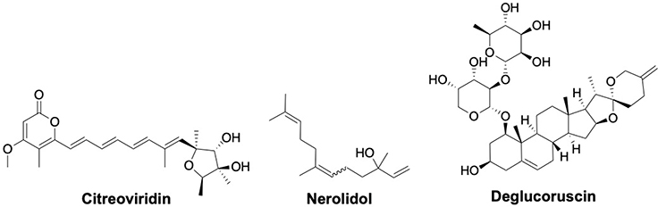 Fig. 10: