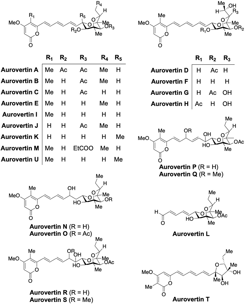 Fig. 4: