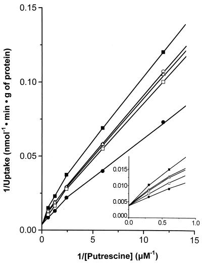 FIG. 5