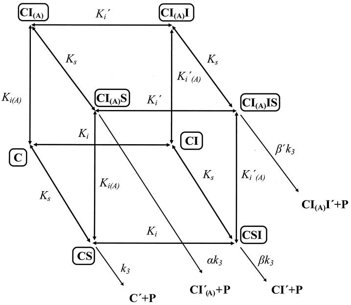 FIG. 1