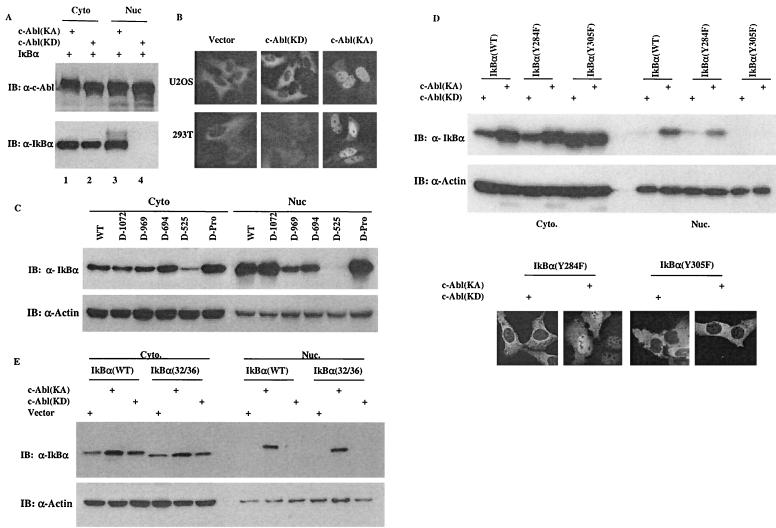 FIG. 5.