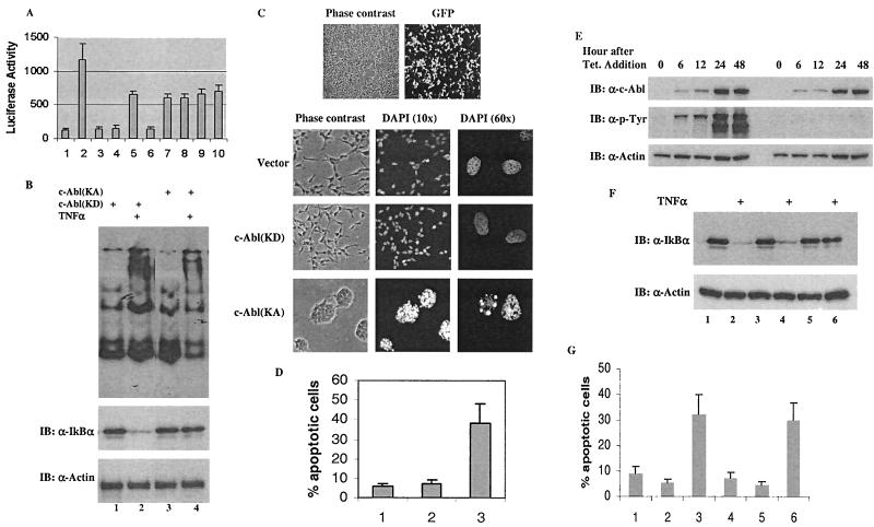 FIG. 6.