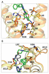 Fig. 2