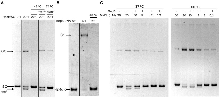 Figure 2