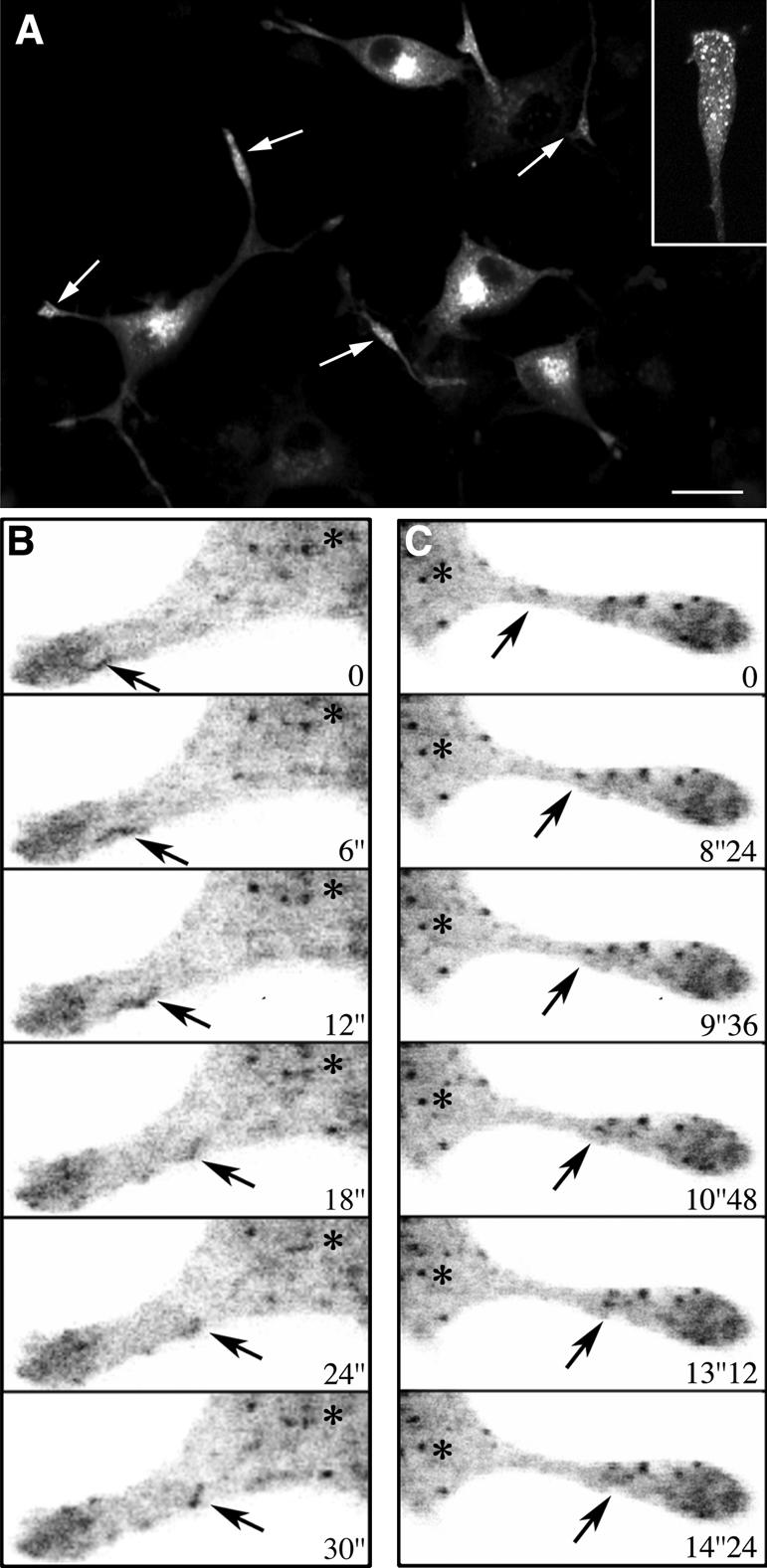 Figure 7.