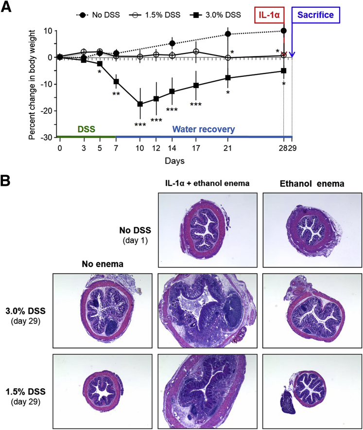 Figure 6