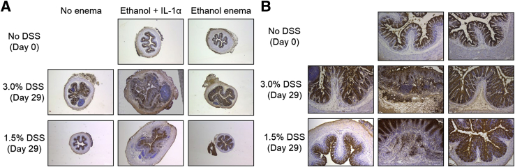 Figure 7