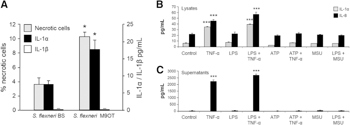 Figure 4