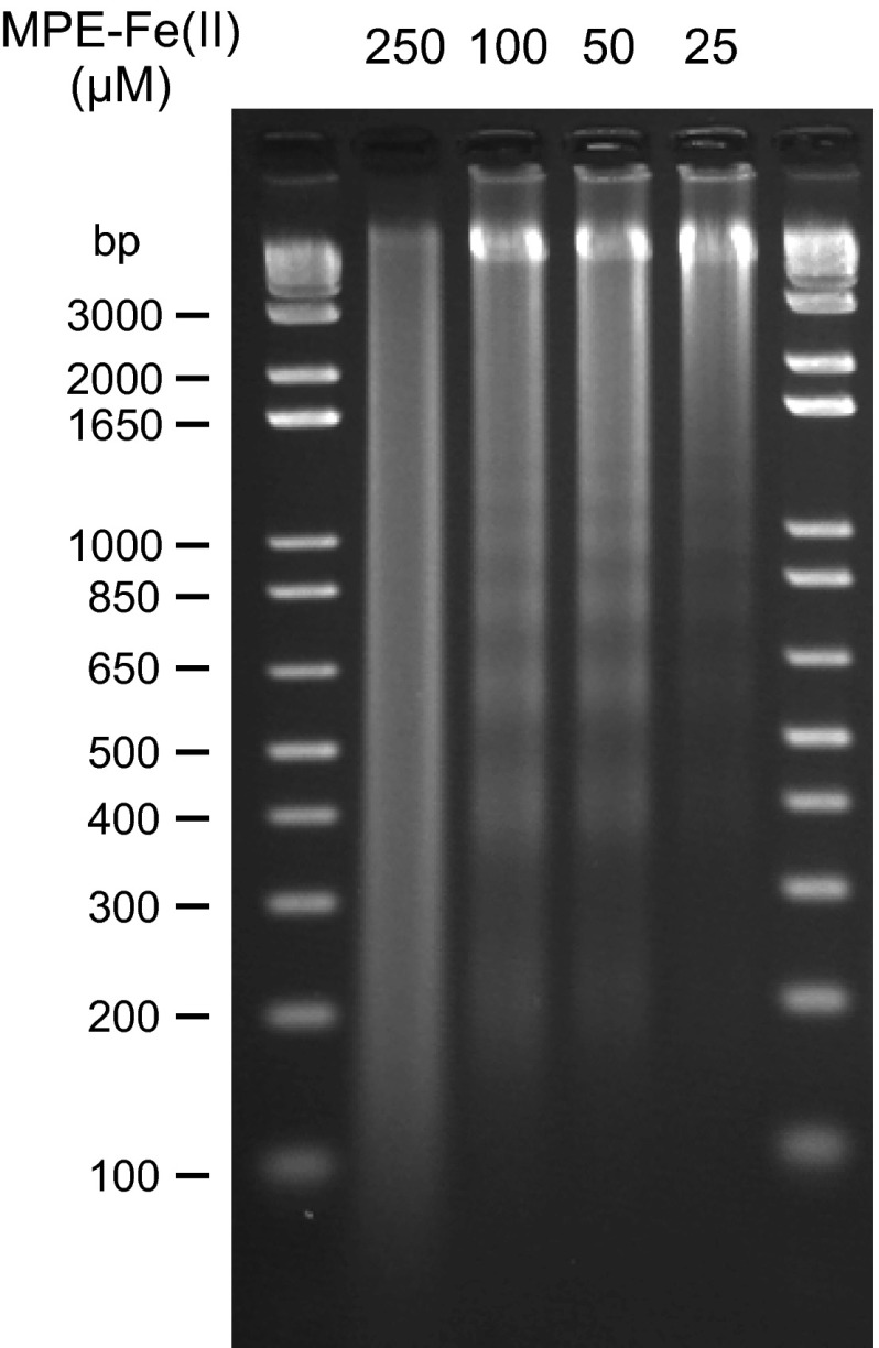 Fig. S1.