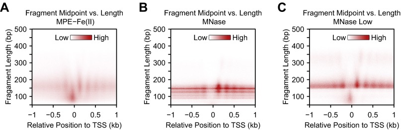 Fig. S4.