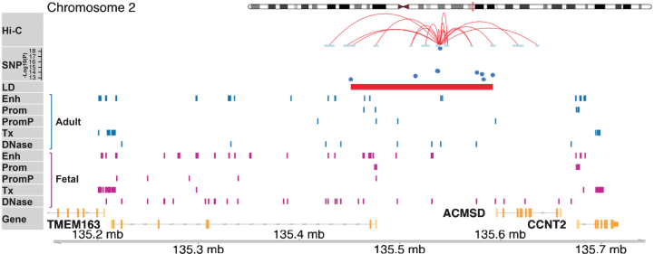 Fig.1