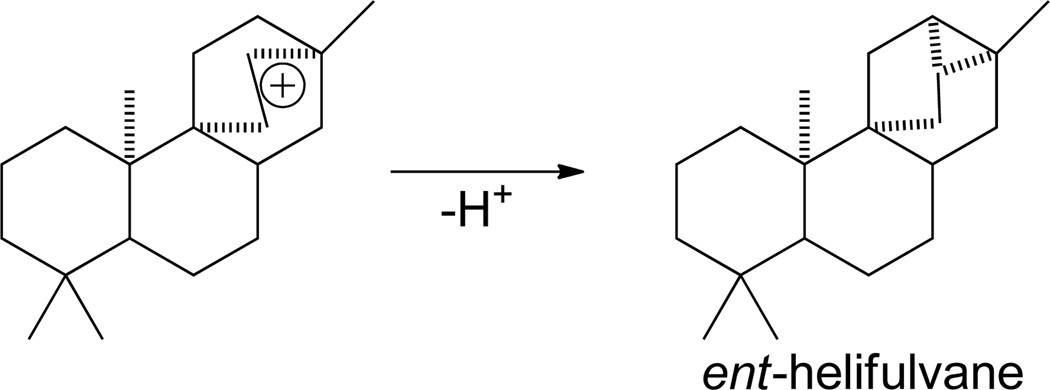 Scheme 13