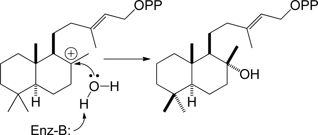 Scheme 2