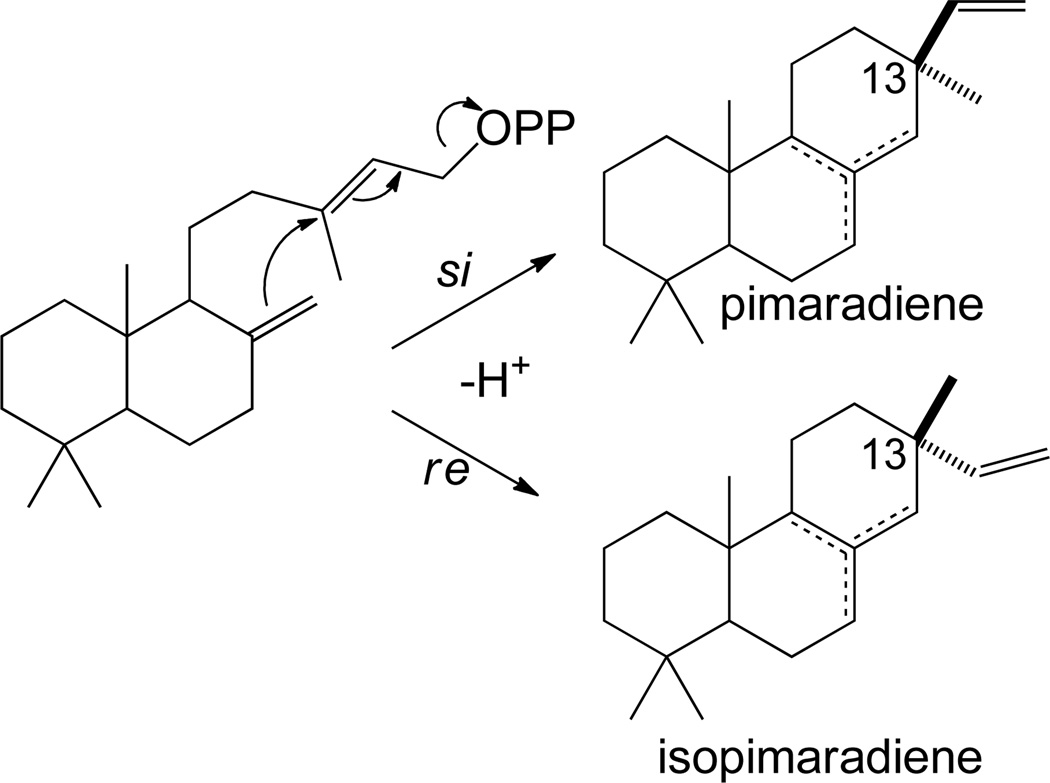 Scheme 6