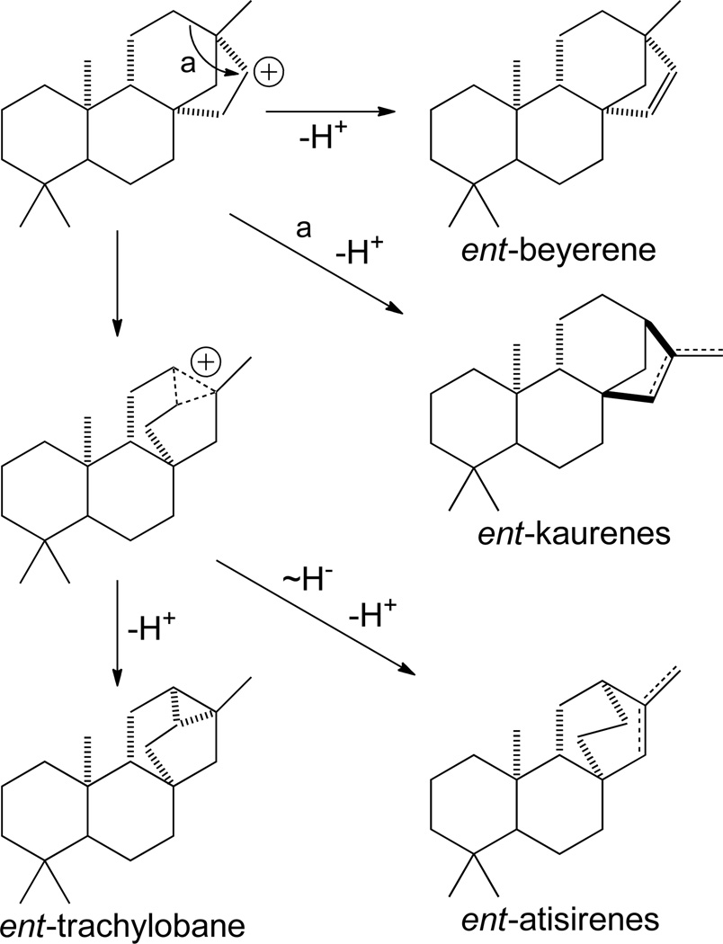 Scheme 11