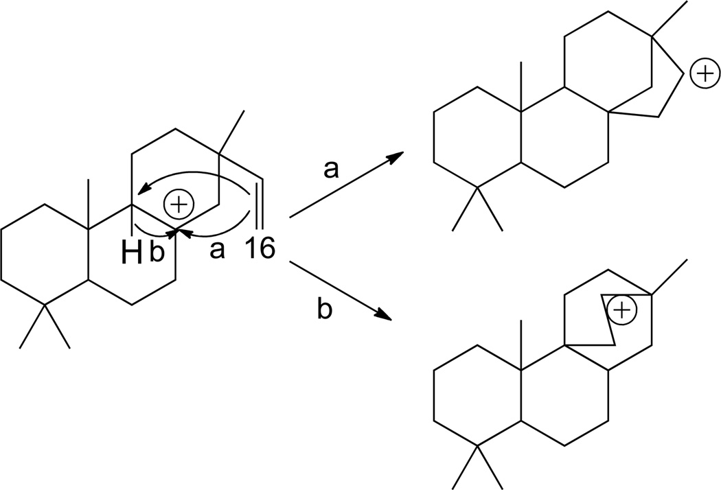 Scheme 10