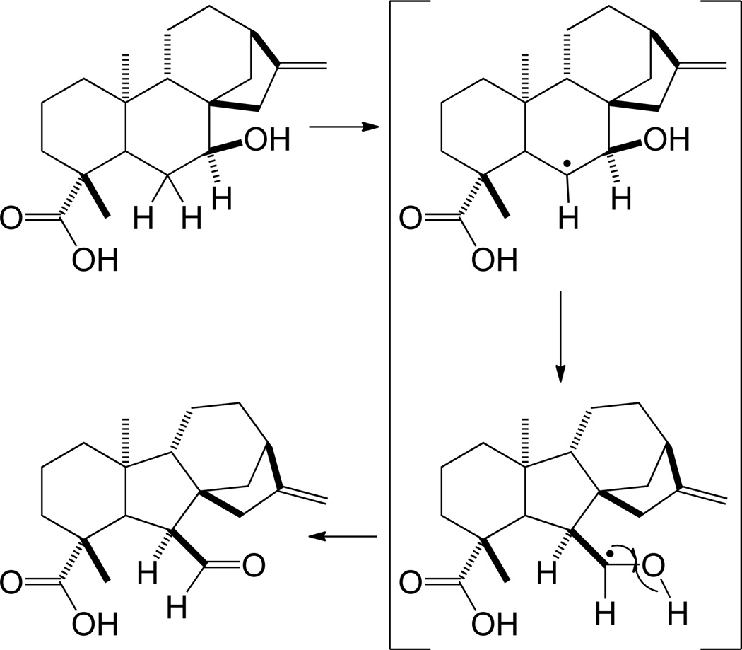 Scheme 14