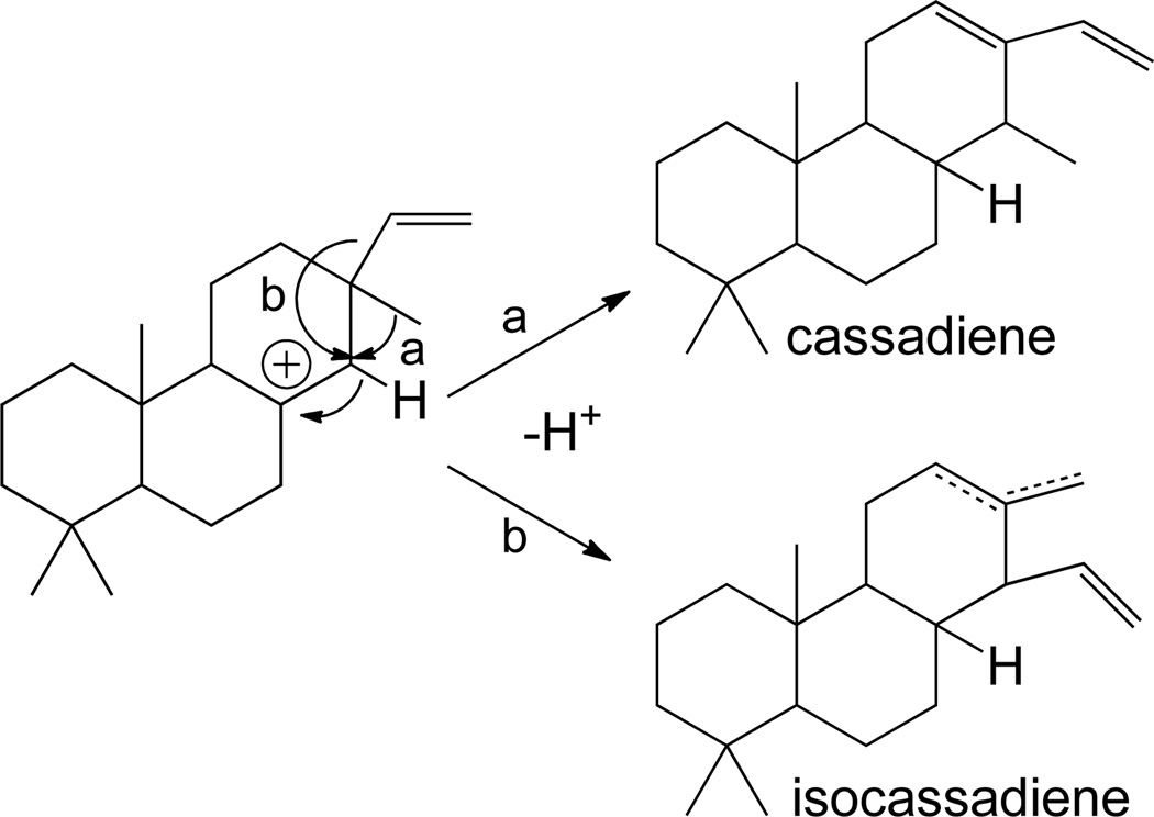 Scheme 7