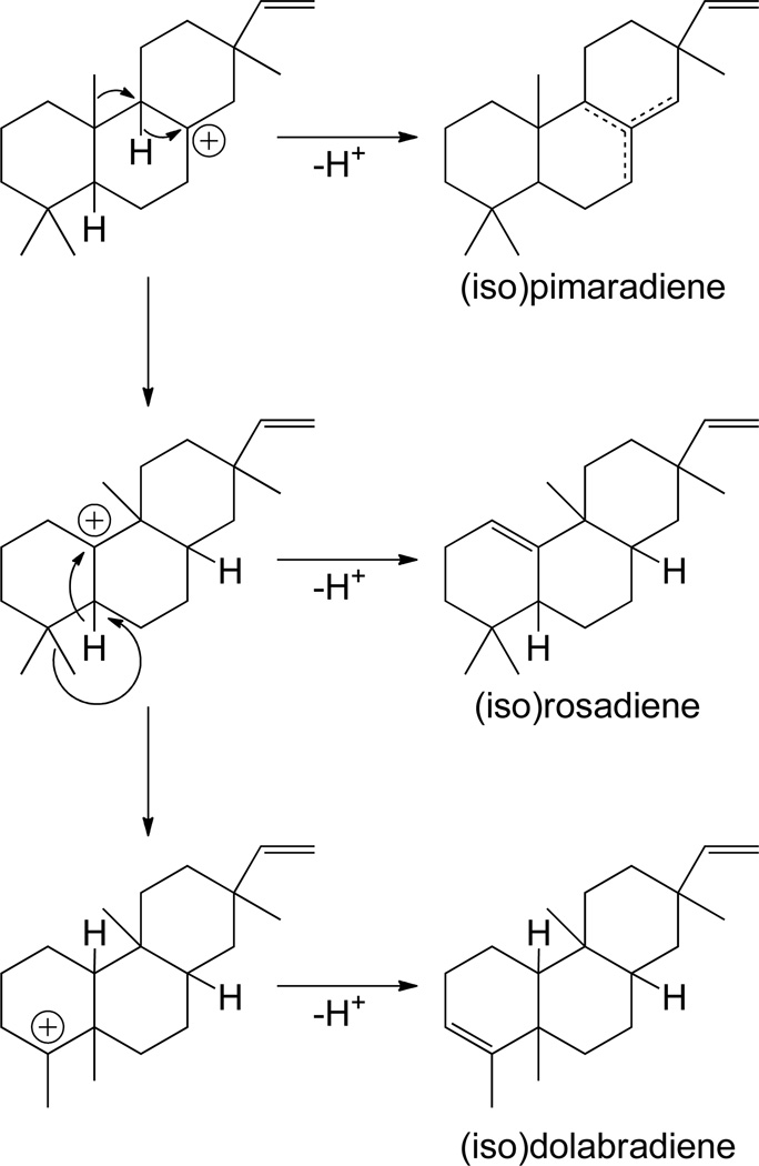 Scheme 8