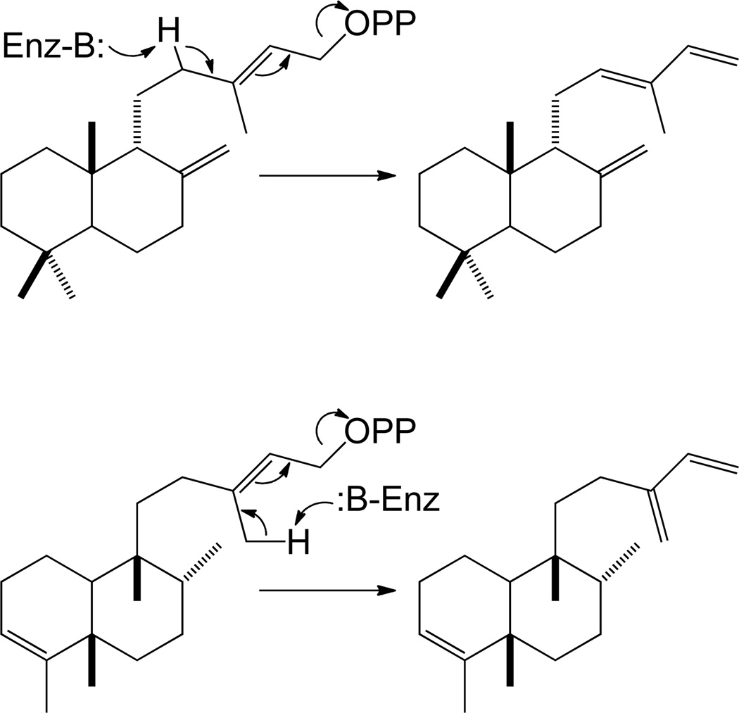 Scheme 5