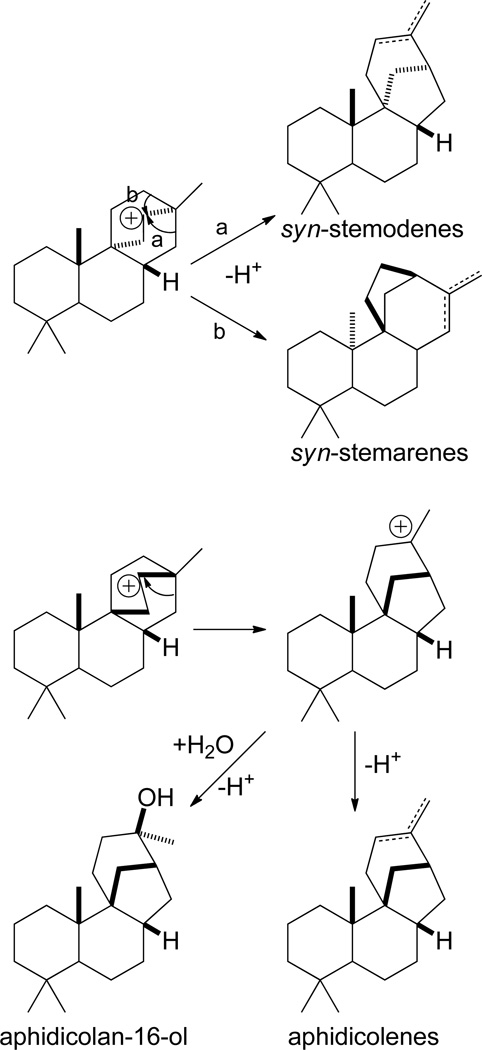 Scheme 12