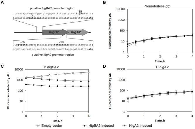 FIGURE 4