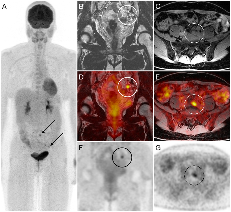 Figure 3: