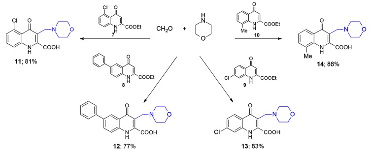 Scheme 2