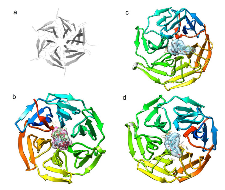 Figure 5