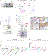 Fig. 4 |
