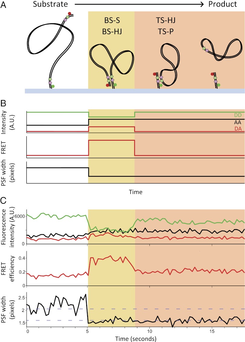 Fig. 2.