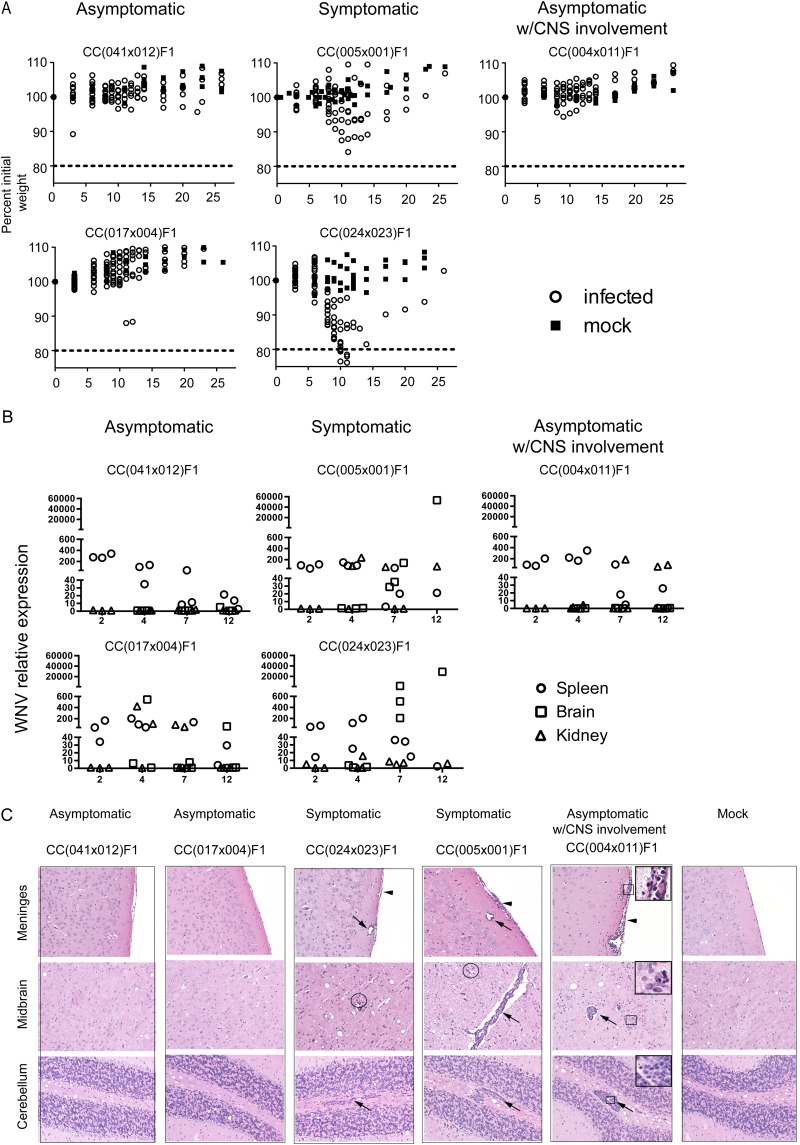 FIG 3 