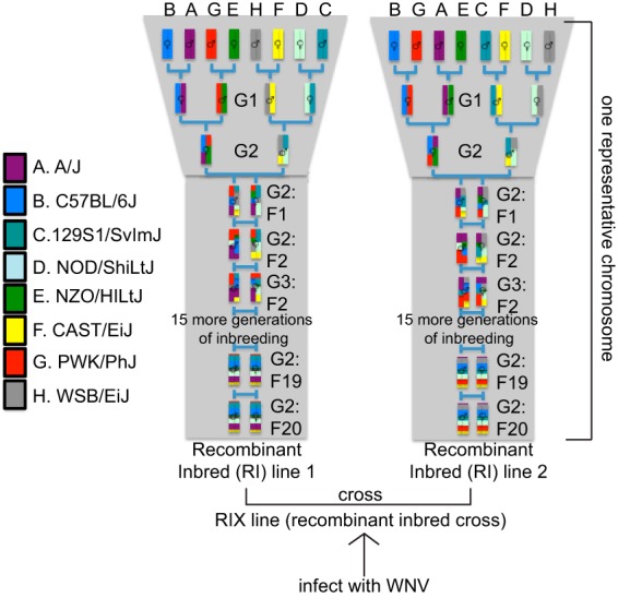 FIG 2 