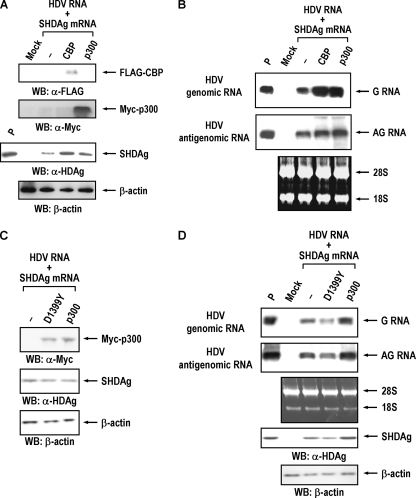 FIG. 6.