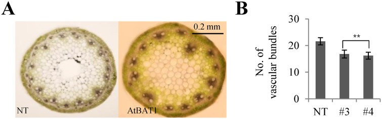 Fig 5