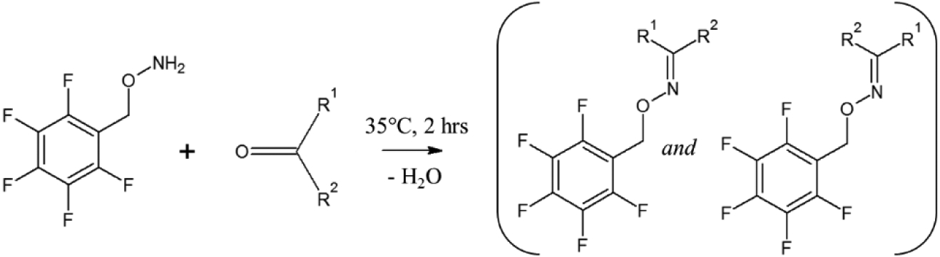 Scheme 2.