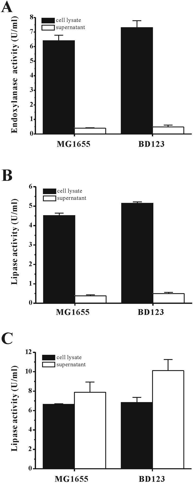 FIG. 5.