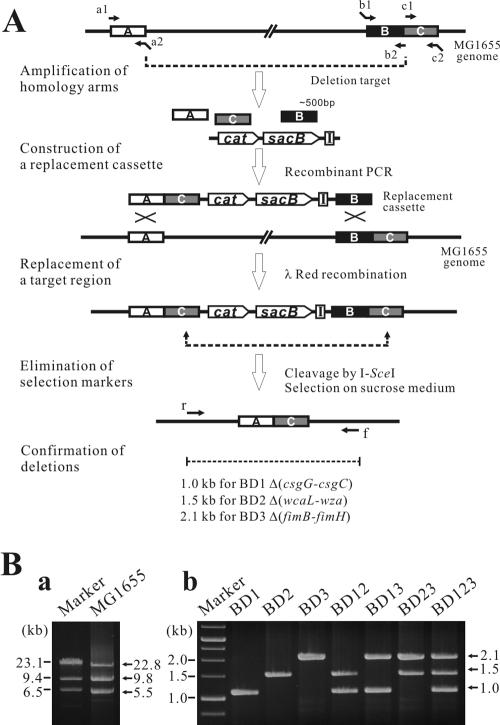 FIG. 1.