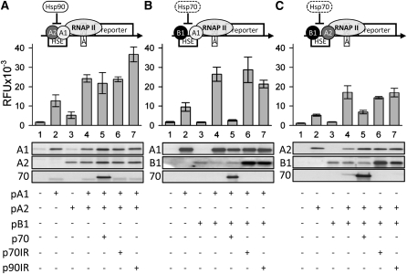 Figure 3.