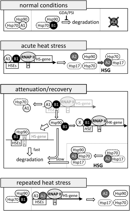 Figure 10.