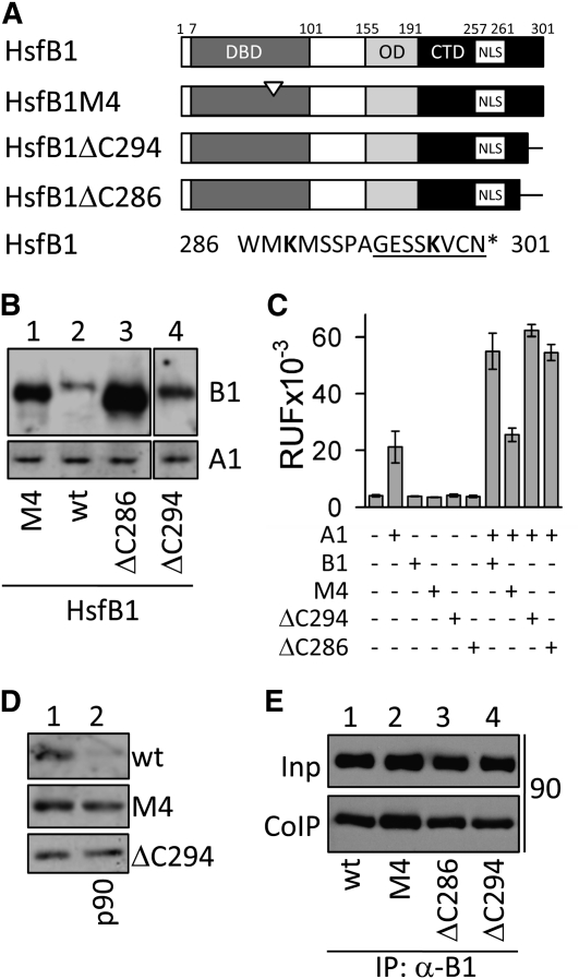 Figure 9.