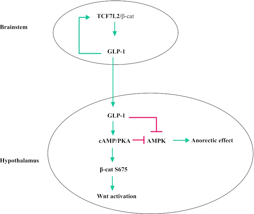 FIG. 7.