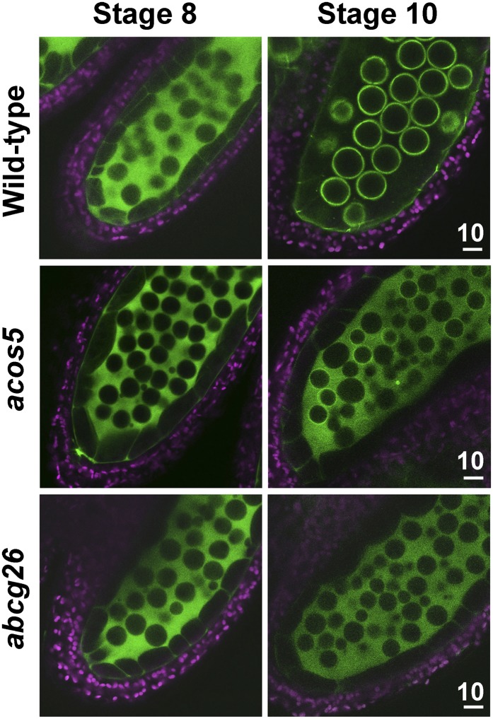 Figure 6.